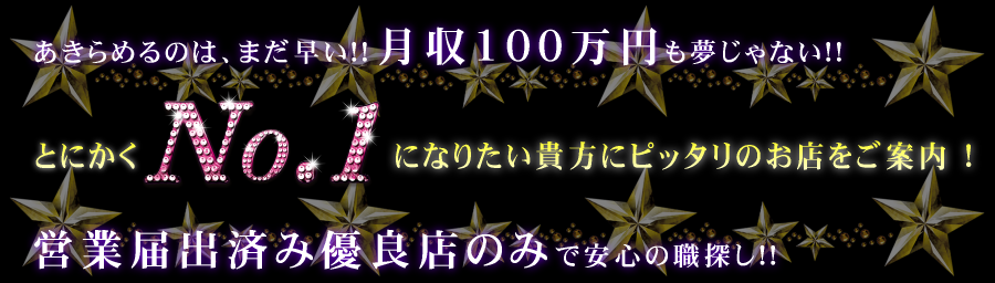 とにかくNo.1になりたい貴方にピッタリのお店をご案内！